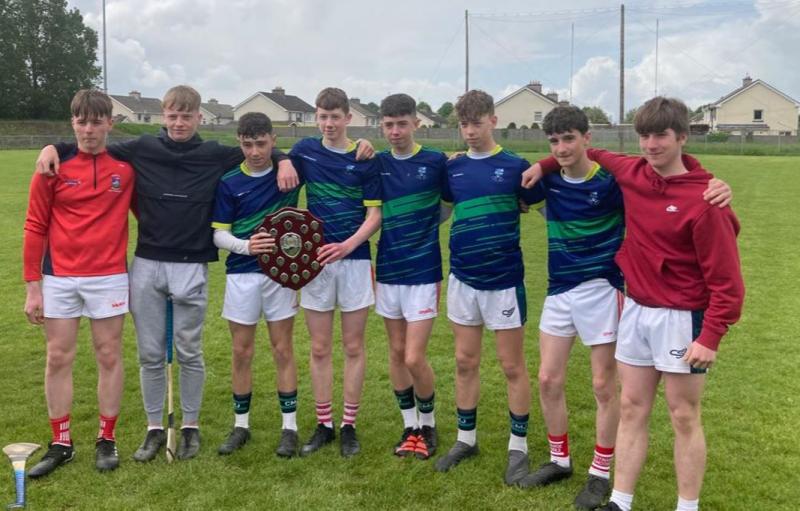 Tipperary men win Leinster title with Johnstown
