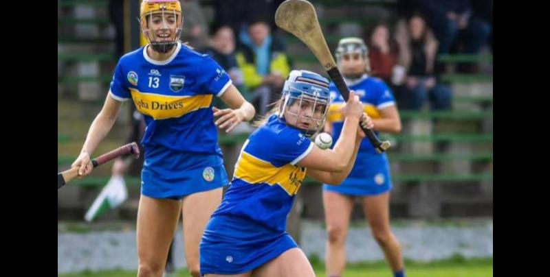 Tipp Junior camogie team face Cavan in All Ireland championship with top spot on offer