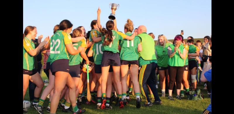 Toomevara effort pays off in league final victory over Shannon Rovers