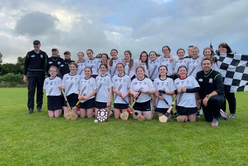 PICTURES: Round up of last weekend's U14 County finals