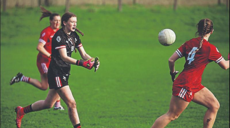 First half goals secure a valuable victory for Louth against Offaly