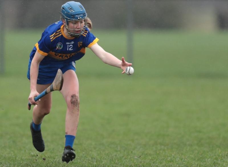 St Ryangh's return to All-Ireland Final after hard fought win over old rivals