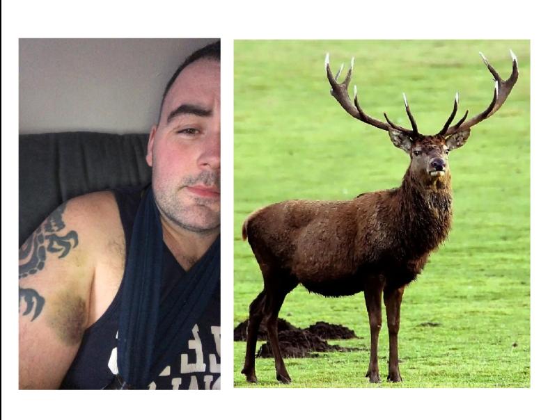 Limerick man 'lucky to be alive' after stag attack