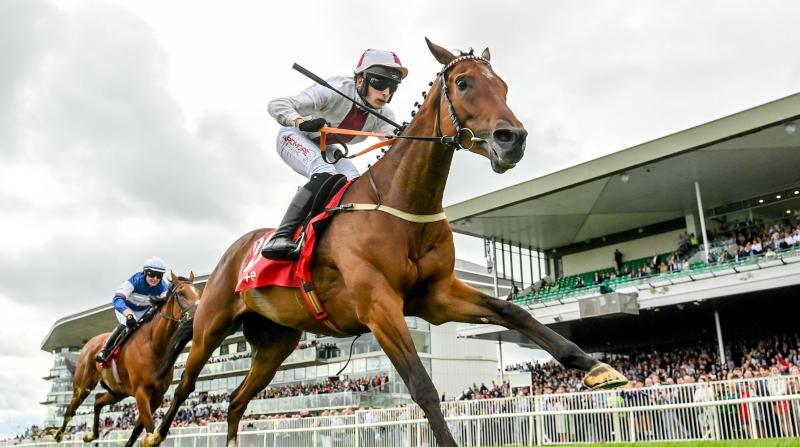 Minella Mate supplies big winner for Tipperary owner/trainer at Galway Races