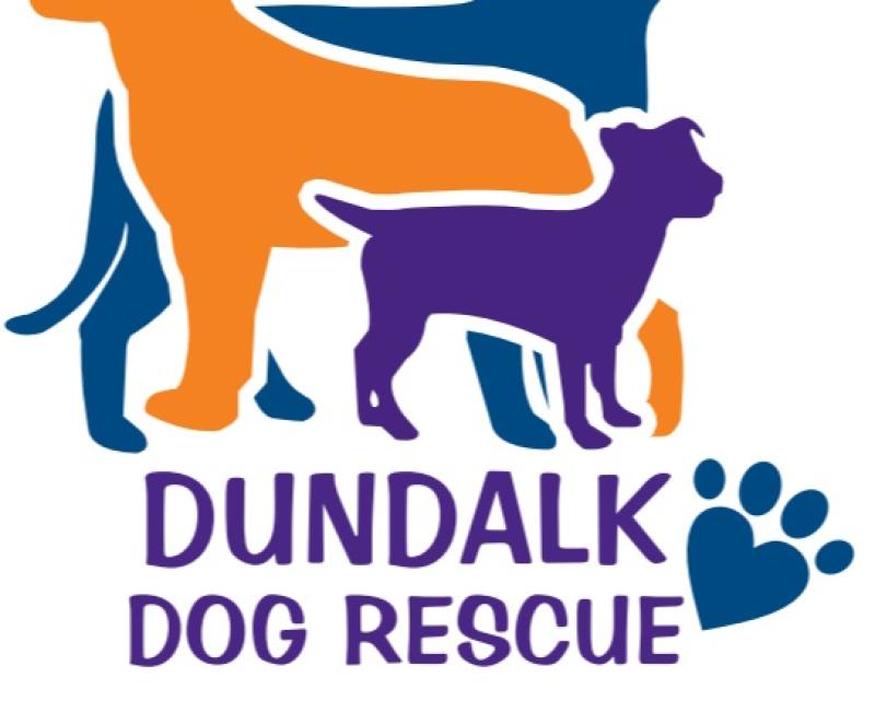 Dundalk Dog Rescue Annual Sponsored Walk returns this month
