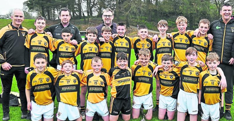 Piltown and Tullaroan claim county under 13 football titles
