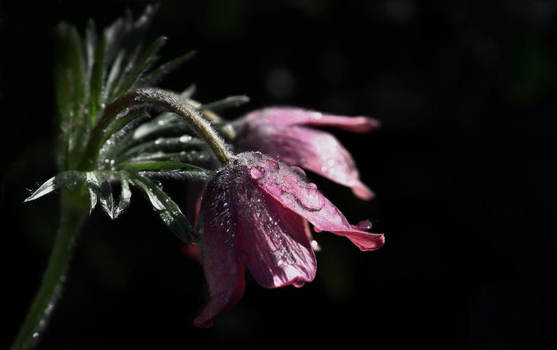 Double bereavement with days brings great sadness to south Tipperary community