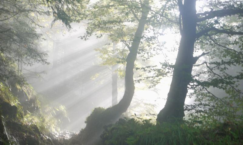 Mid Tipperary parish saddened at passing of two men with local links