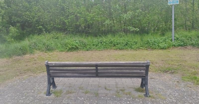 The River Nore in Kilkenny is 'choked to death', says councillor