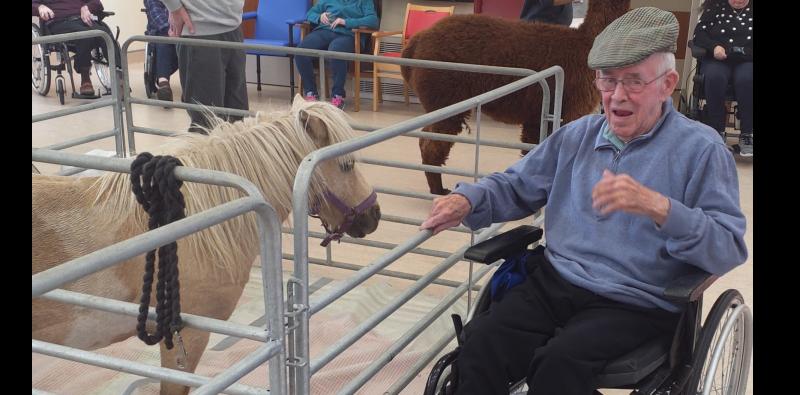 The farmyard comes to St Oliver's in Dundalk