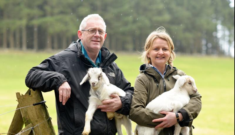 Line up for Ennis Book Club Festival confirmed