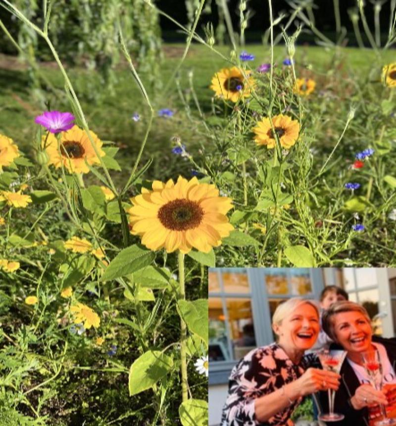 'I just wanted to give something back': Over €12,000 raised in inspiring flower fundraiser by Kildare woman