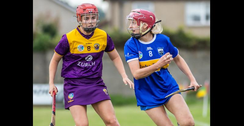 Tipperary continue impress form with facile win over Wexford in camogie championship