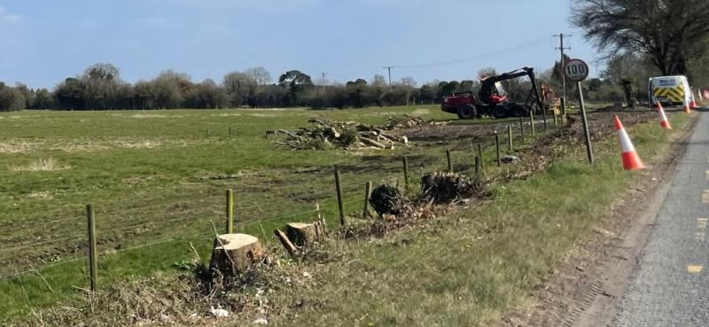 Offaly County Council apologises for removing hedgerow near Geashill
