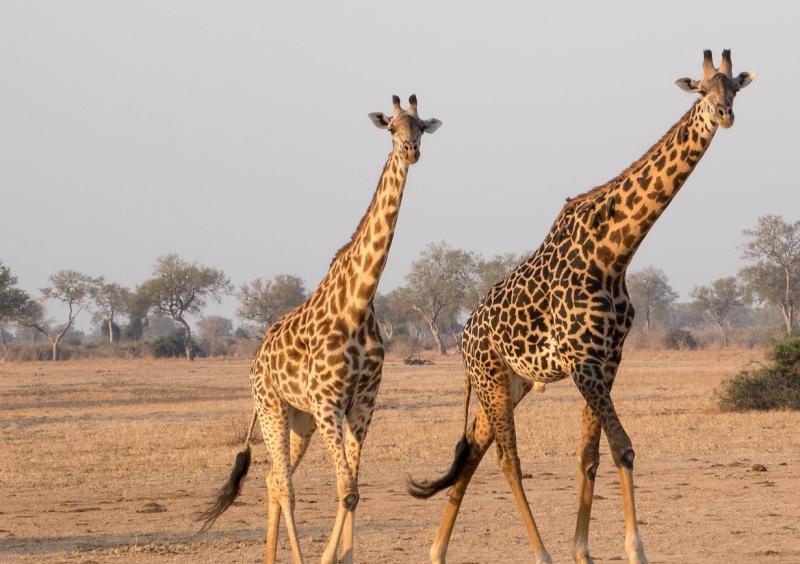 Two Tipperary women head for Africa on volunteer programme with 'SERVE'