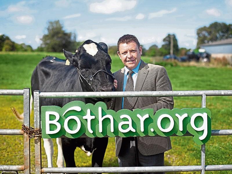 IFA queries future of Limerick-based charity as it seeks to hire new CEO