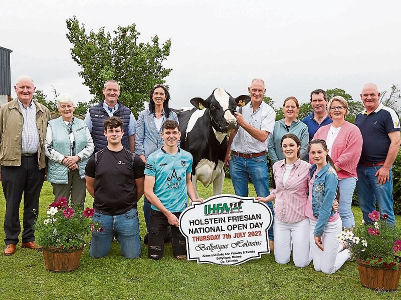 Focus swings to cows from birdies and eagles at Limerick farm
