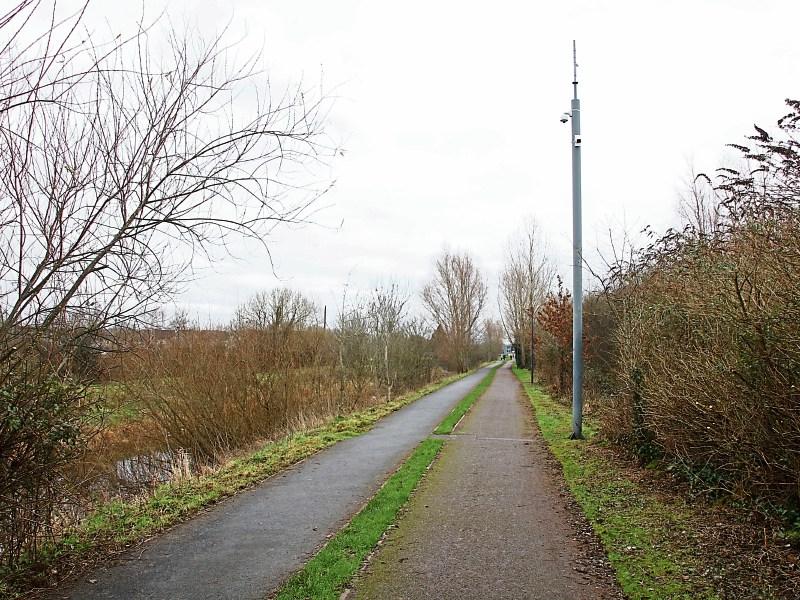 The big chop: Popular Limerick walkway to close for hedgecutting