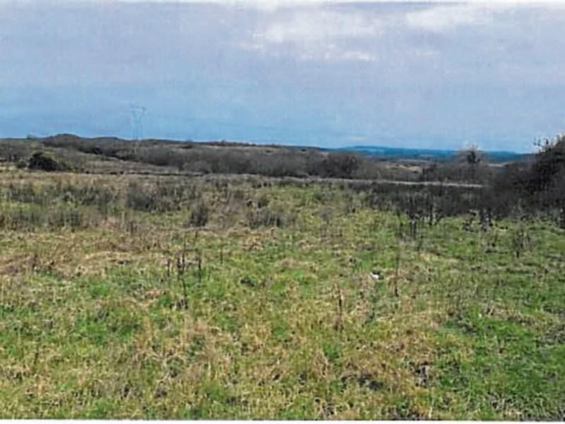 Buffer lands at site of former Limerick dump to be sold Ireland Live