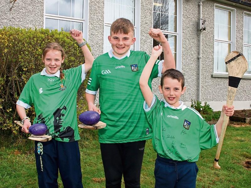 No stroll in ‘The Park’ for Limerick hurlers as title defence kicks off on Leeside