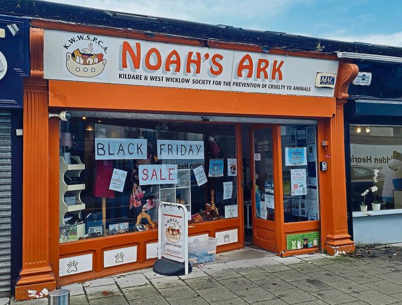 KILDARE ANIMALS IN NEED: Looking to adopt a cat or kitten this year