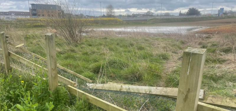 Mayor calls for investigation after sightings of dead horse in Kilkenny