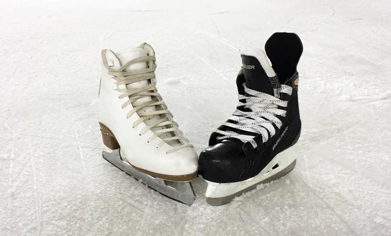 Get your skates on: Tipperary rail group's annual ice skating train trip is back