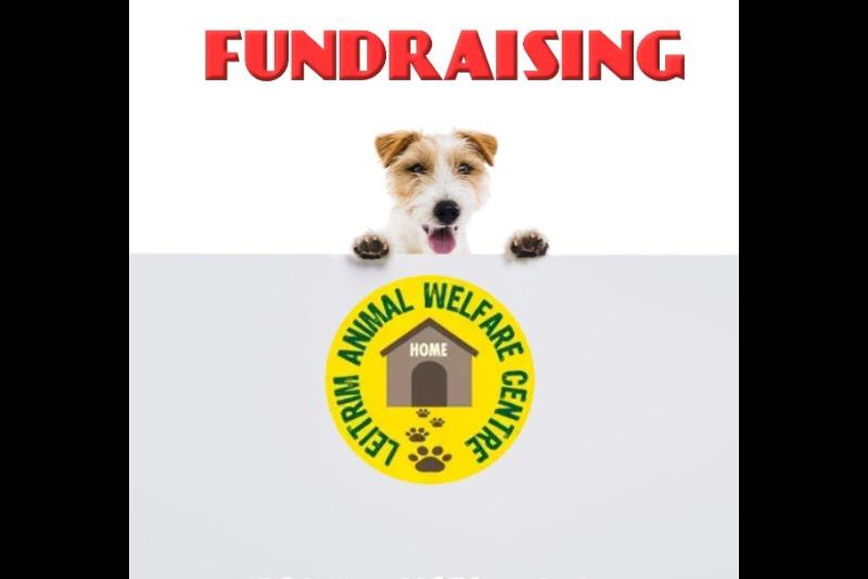 Leitrim Animal Welfare fundraising to build new office