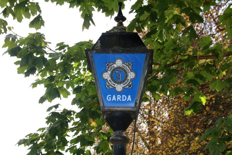 Second car destroyed in Limerick arson attack was 'collateral damage'