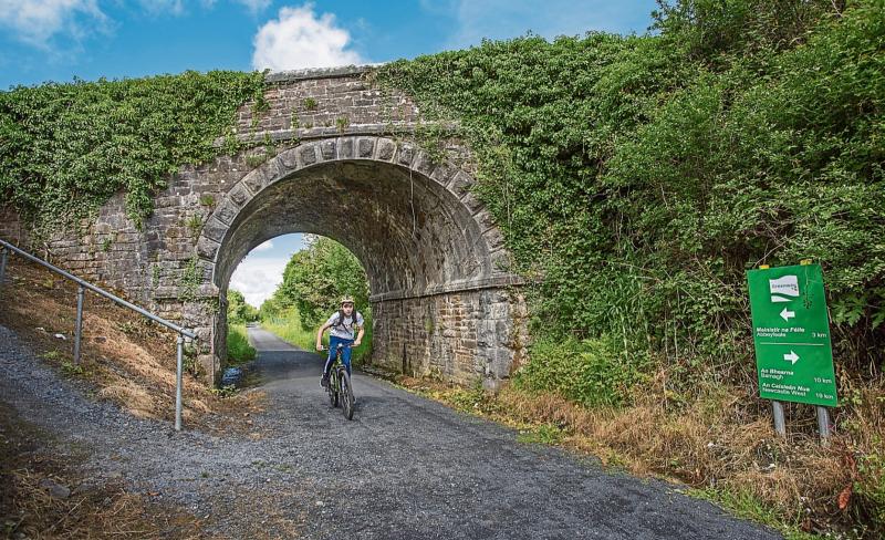 Calls for Eircode markings on Limerick Greenway following tragedy
