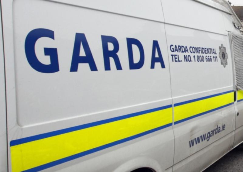 Gardaí appeal for information after men spotted in garden of Carlow home