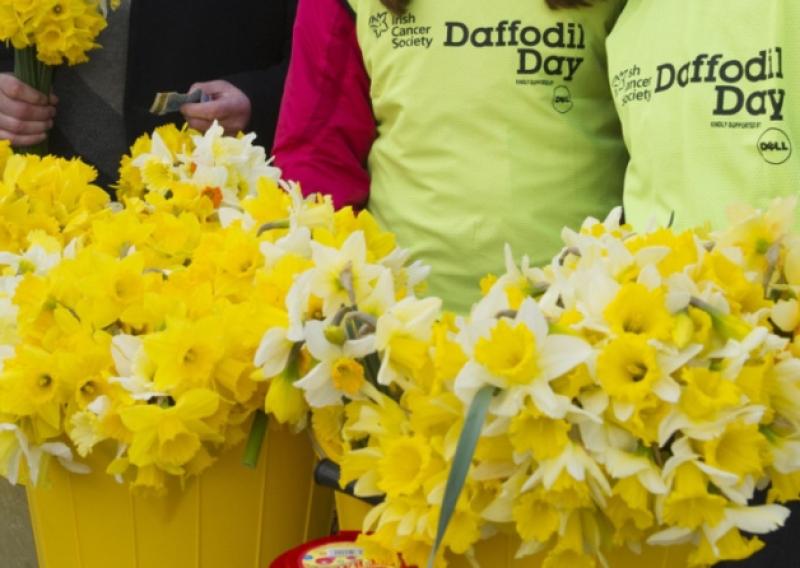 Kilkenny unites against cancer ahead of Daffodil Day