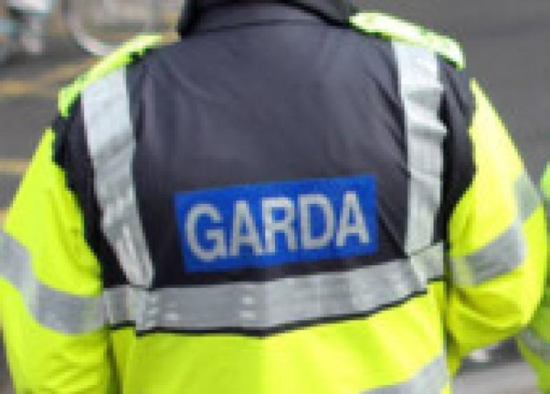 Driver issued fine and penalty points after being caught speeding in school zone in Longford