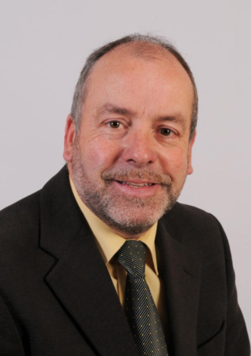 Ash dieback is a serious risks to pedestrians and motorists - McGowan