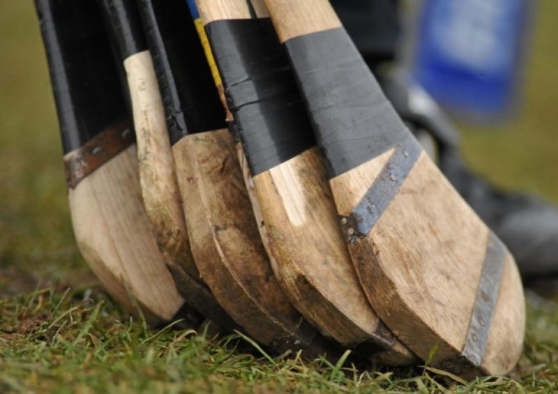 'To lead out your county is an honour' - Kilkenny captain reflects on season