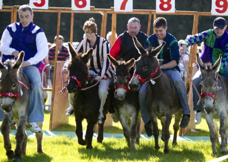 The Donkey Derby at Powerstown Park - always a popular feature at Clonmel Show every July.