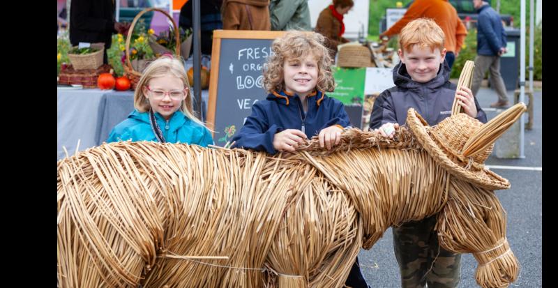 Applefest  brings vibrancy and colour to the strees of Clonmel for family festival
