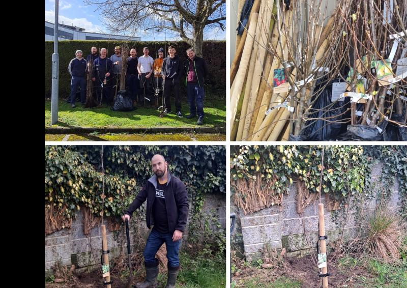 Hanley staff in Clonmel take control of tree planting campaign