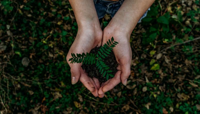 Clare businesses urged to prepare for EU sustainability regulations