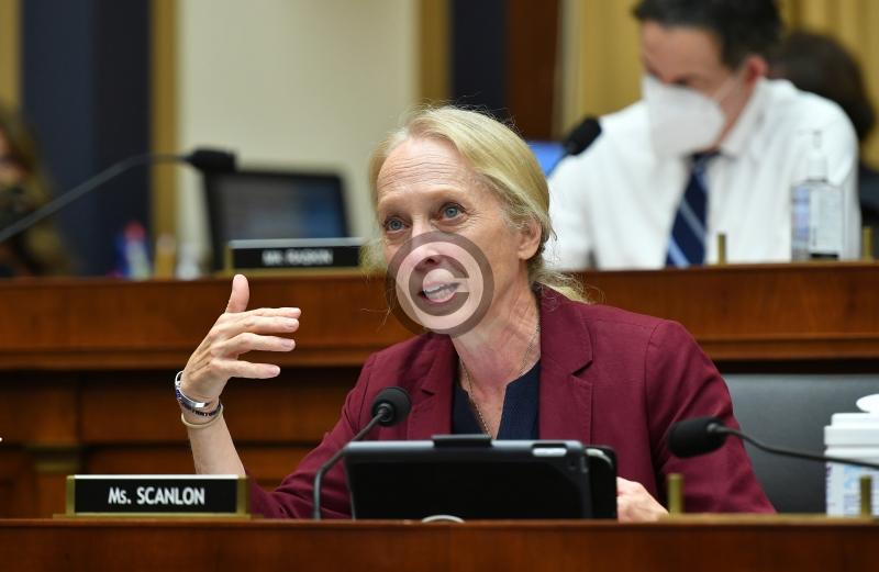 Police hold five suspects after US congresswoman was carjacked