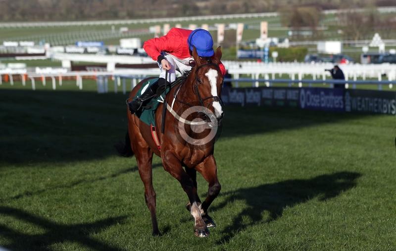 Gerhard and Hollow headline Mullins team for Leopardstown opener