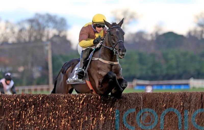 Galopin Des Champs makes faultless fencing bow