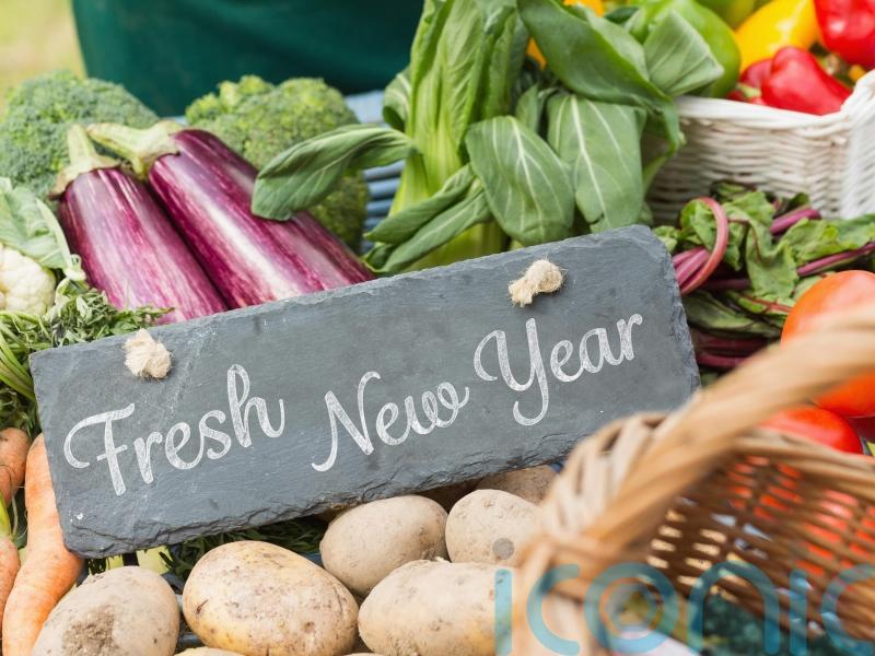 Sustainability: What greener New Year’s resolutions are you making for your garden?