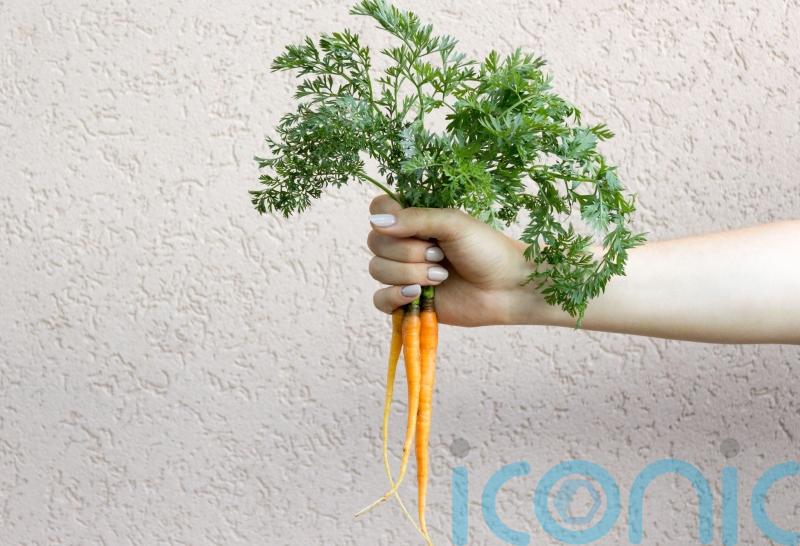 Ghost kitchens, potato milk and beanless coffee: 9 food trends to look out for in 2022