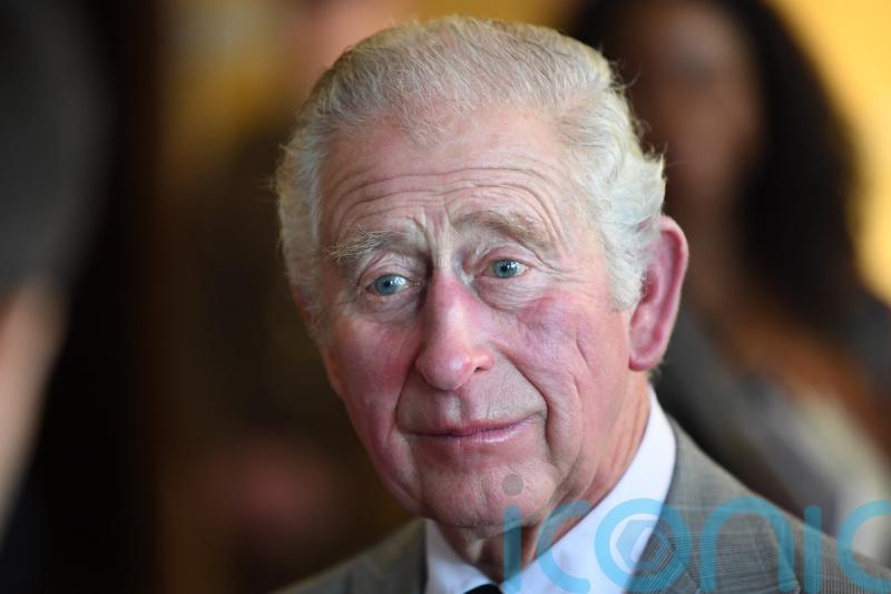 Charles urges world to remember those defending human rights in New Year message