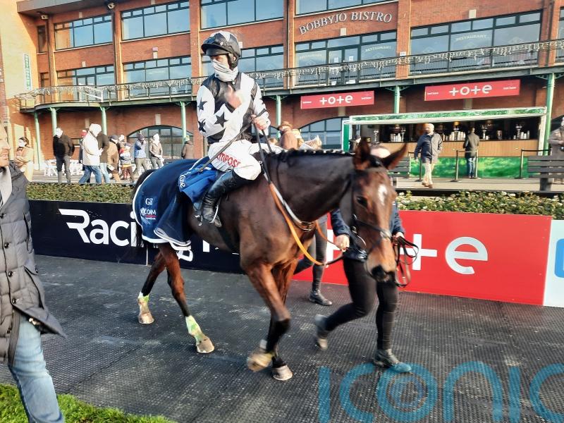 Mount Ida continues progression at Fairyhouse