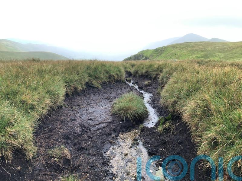 PM urged to make New Year&rsquo;s resolutions to tackle nature and climate crises