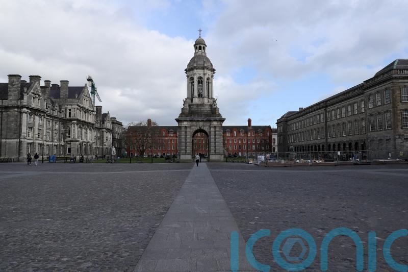 Trinity, UCC, UCD and DCU to introduce paid domestic violence leave in 2022