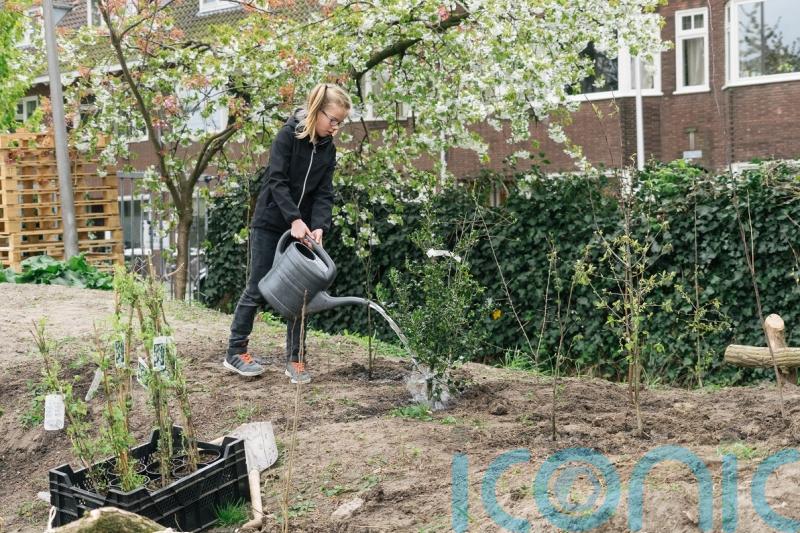 Bids to sprout ‘wee forests’ in cities receive £500,000