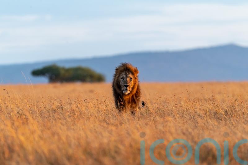 Why sharpening photography skills on safari is the mental reset we all need in 2022